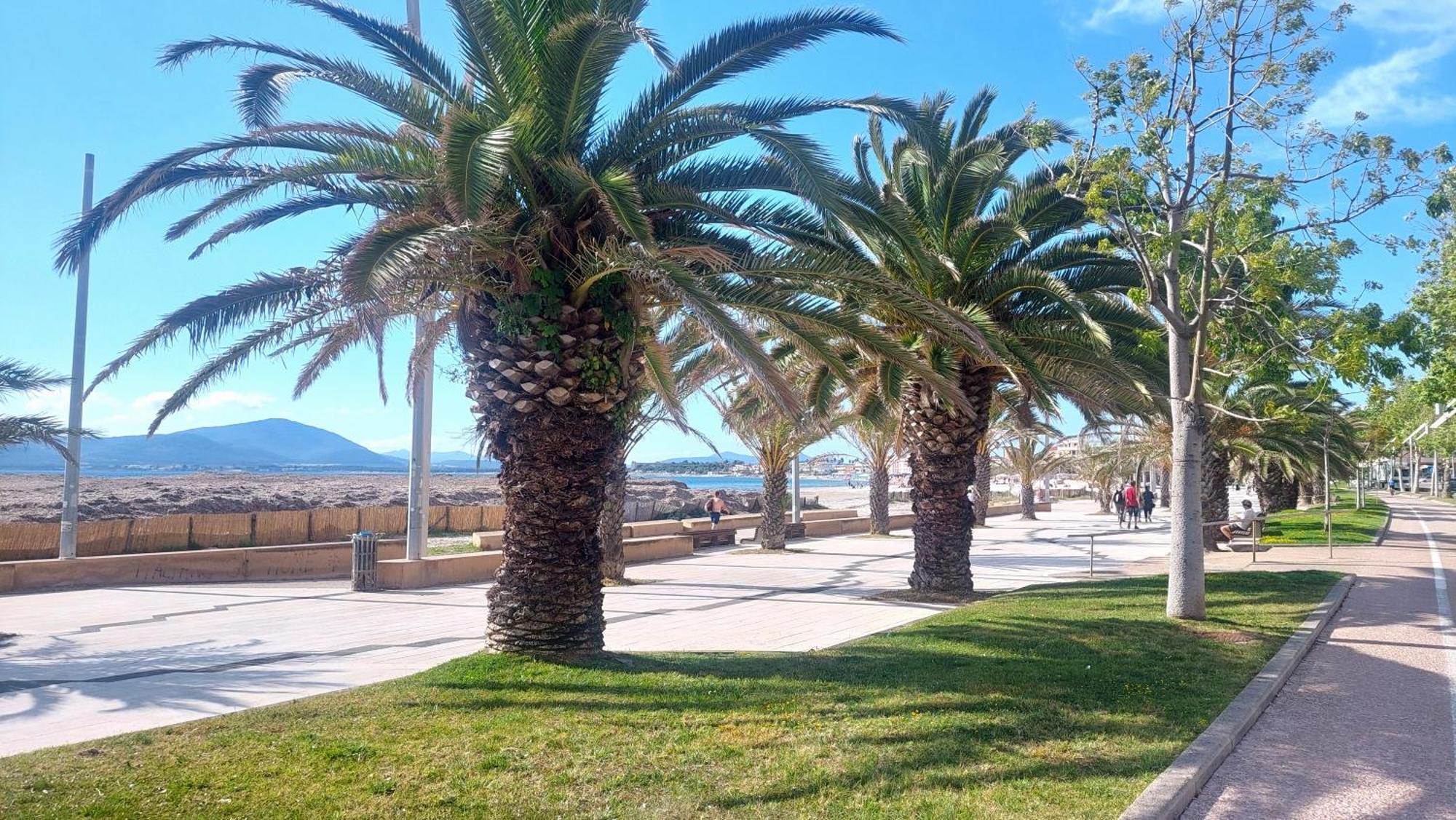 Lovealghero Stanze In Attico Vista Mare Exteriör bild
